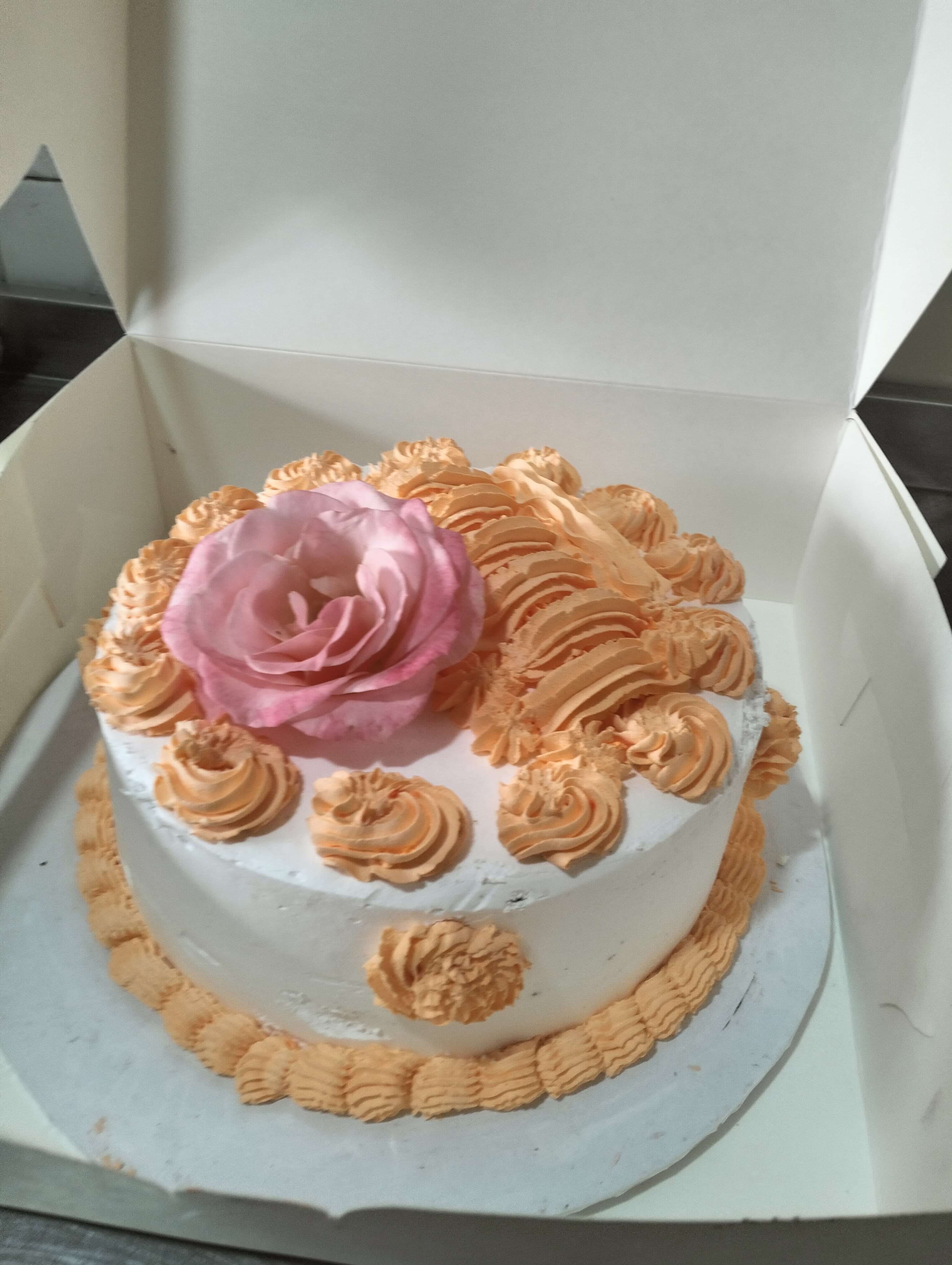 IMG20230809115557 min